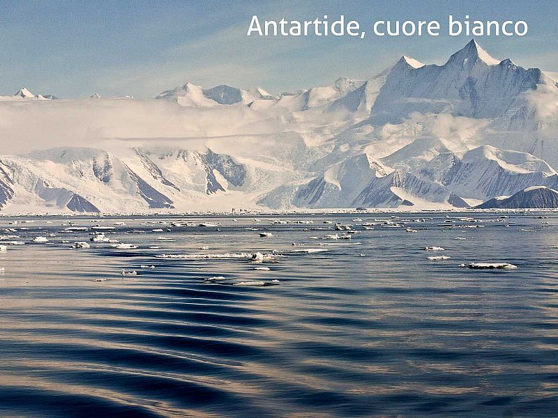Immagine di Antartide - Cuore bianco